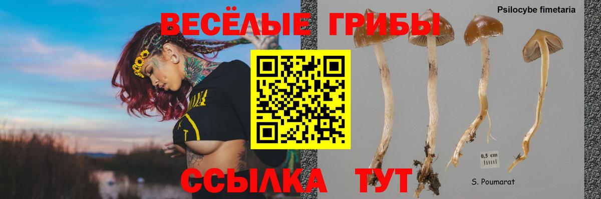 Галлюциногенные грибы мухоморы Кореновск